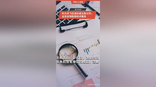 科大訊飛在湖北成立新公司，拓展物聯(lián)網(wǎng)技術(shù)服務(wù)版圖